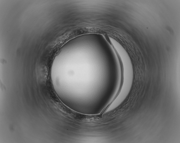 X0000090600752200708071142