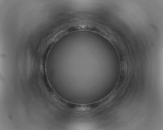 X0000090600754200708071142