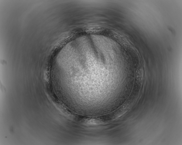 X0000090600755200708071142