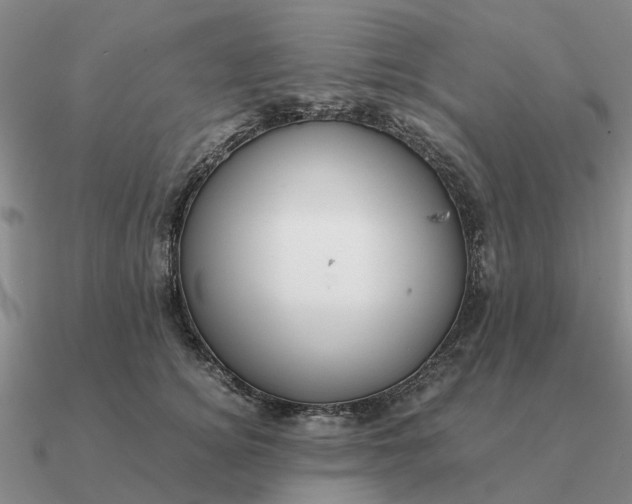 X0000090600756200708071142