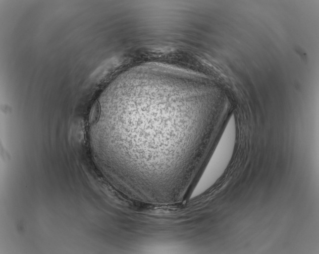 X0000090600758200708071142