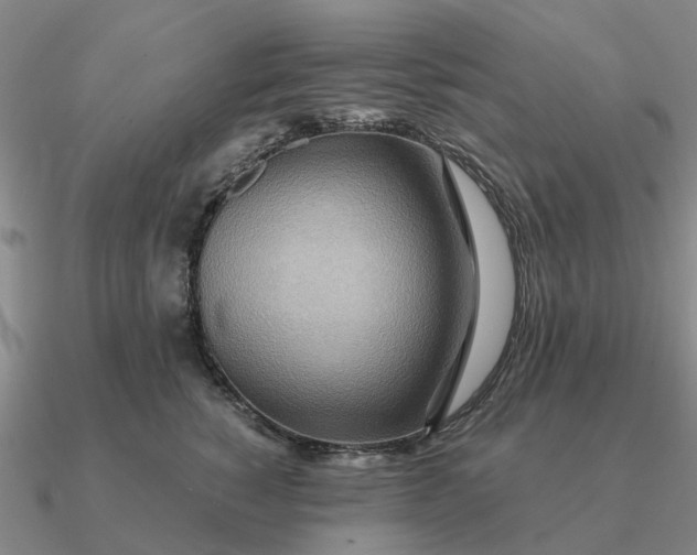 X0000090600760200708071142