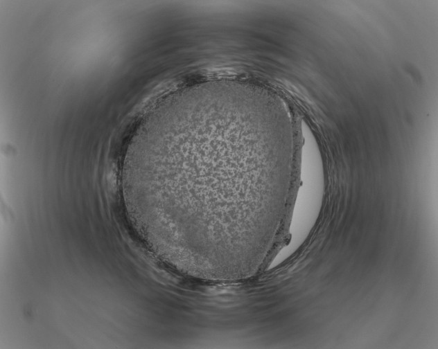 X0000090600761200708071142