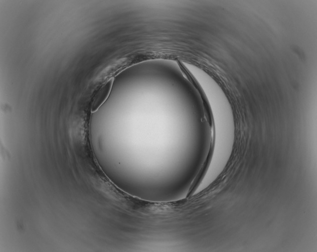 X0000090600762200708071142