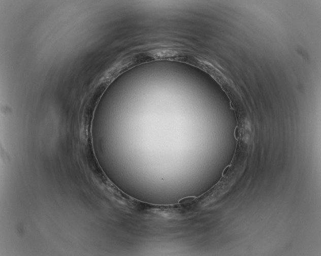 X0000090600763200708071142