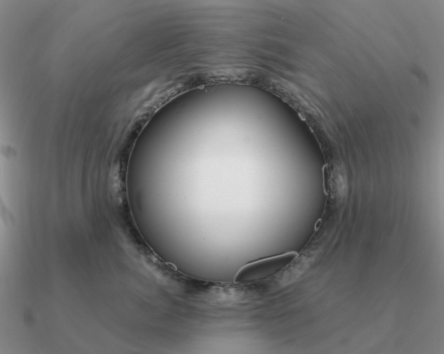 X0000090600764200708071142