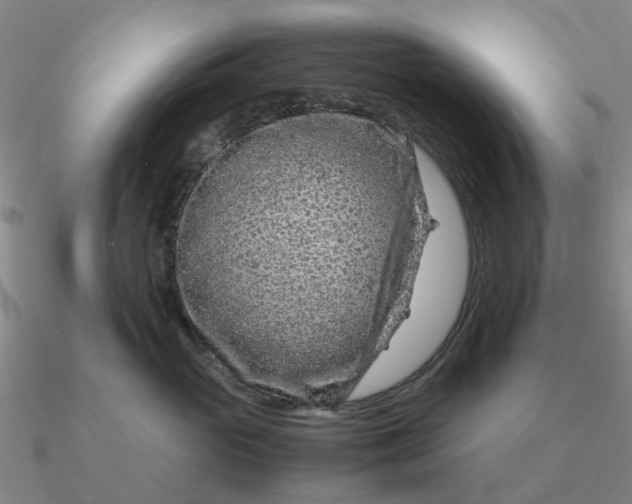 X0000090600765200708071142