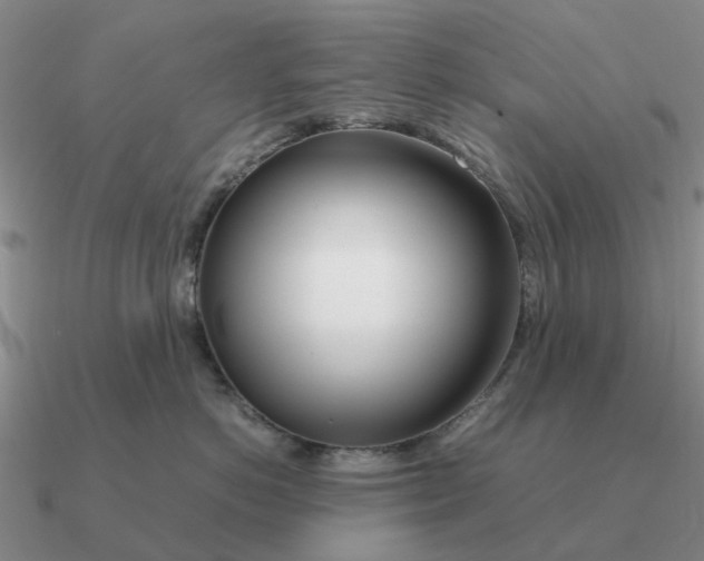 X0000090600766200708071142