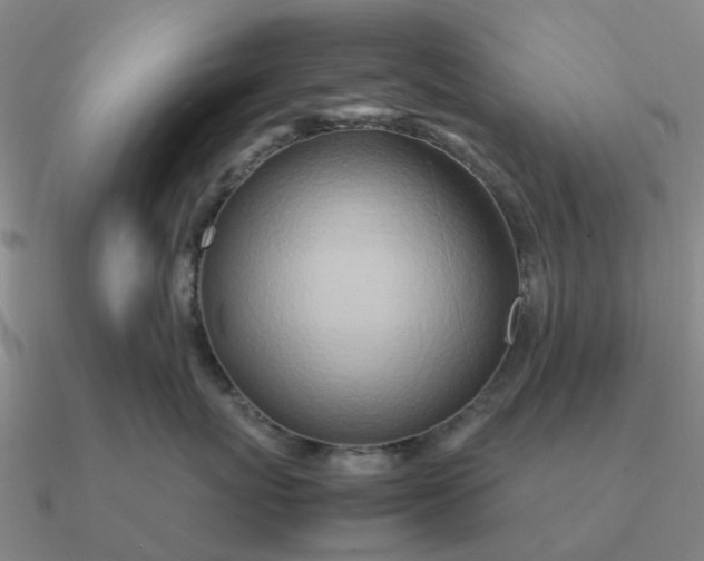 X0000090600767200708071142