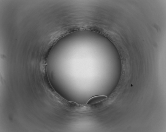 X0000090600768200708071142