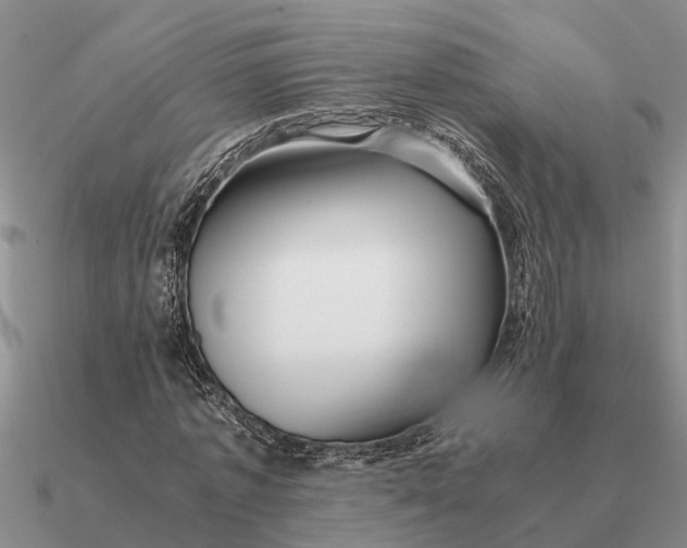 X0000090600773200708071142