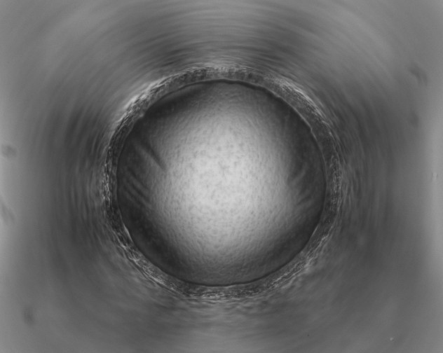 X0000090600776200708071142