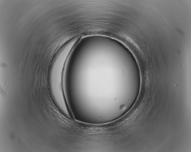 X0000090600777200708071142