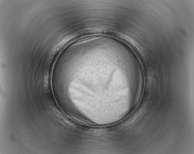 X0000090600778200708071142