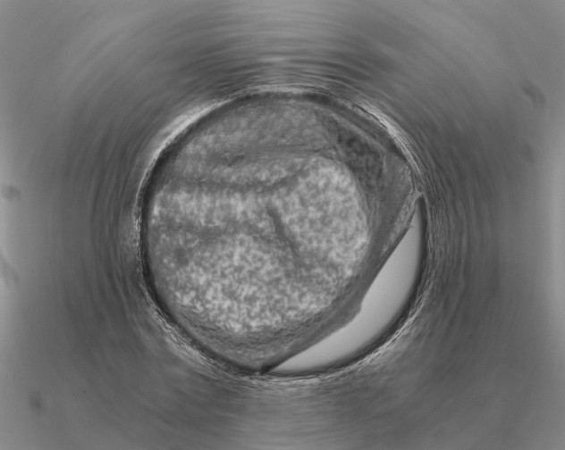 X0000090600779200708071142