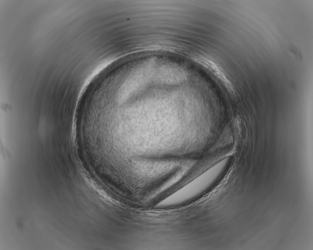 X0000090600780200708071142