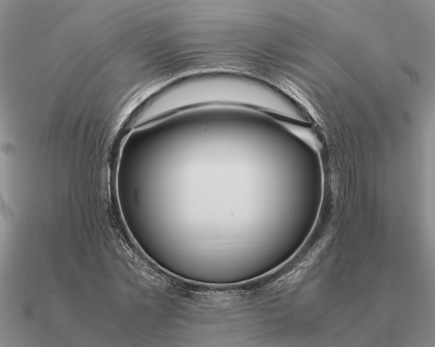 X0000090600781200708071142