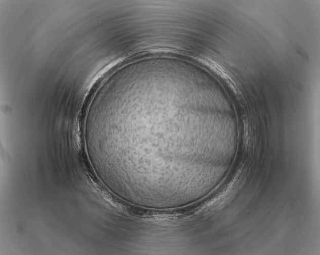 X0000090600782200708071142