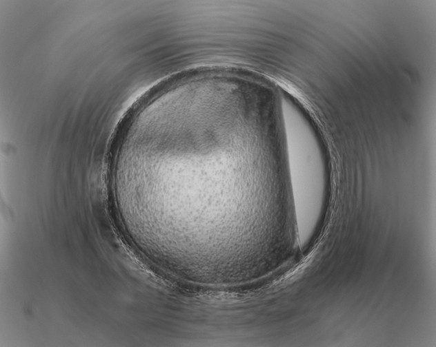 X0000090600783200708071142