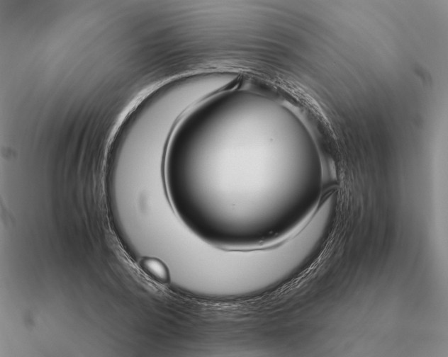 X0000090600784200708071142