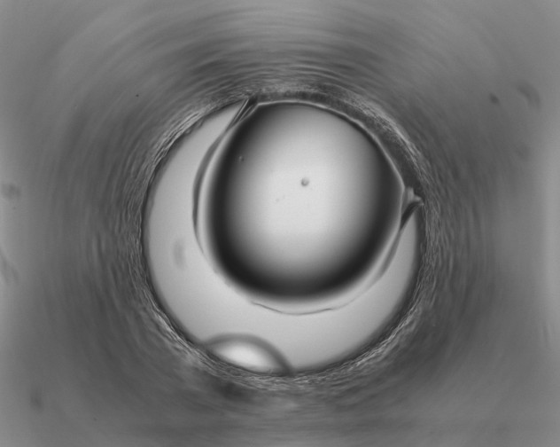 X0000090600785200708071142