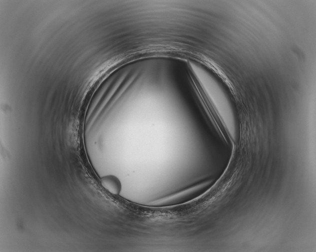 X0000090600786200708071142