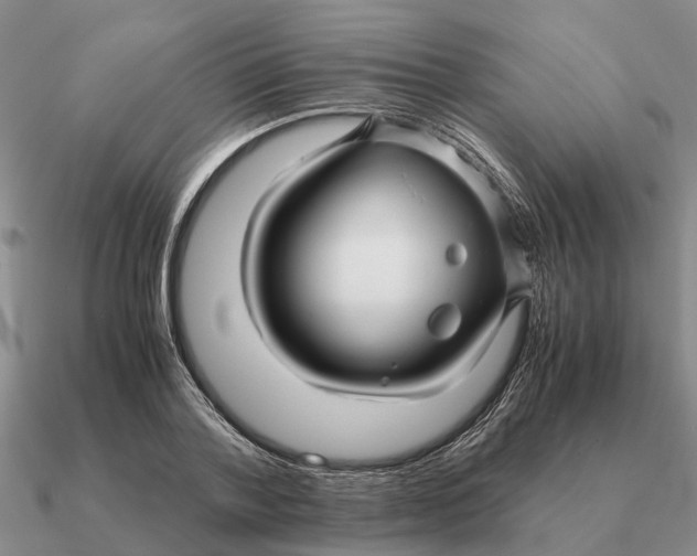 X0000090600788200708071142