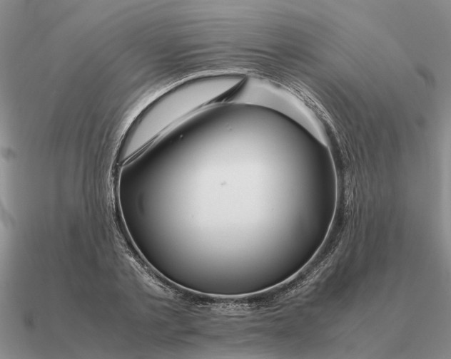 X0000090600789200708071142