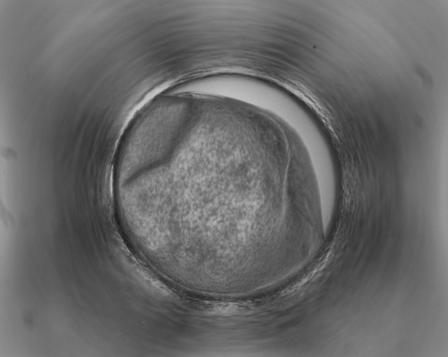 X0000090600790200708071142