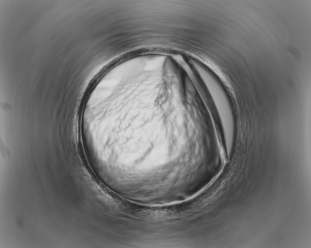 X0000090600791200708071141