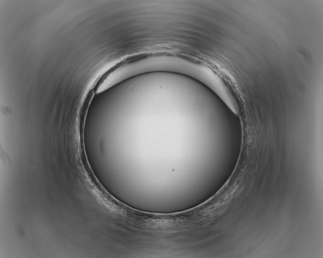 X0000090600792200708071141