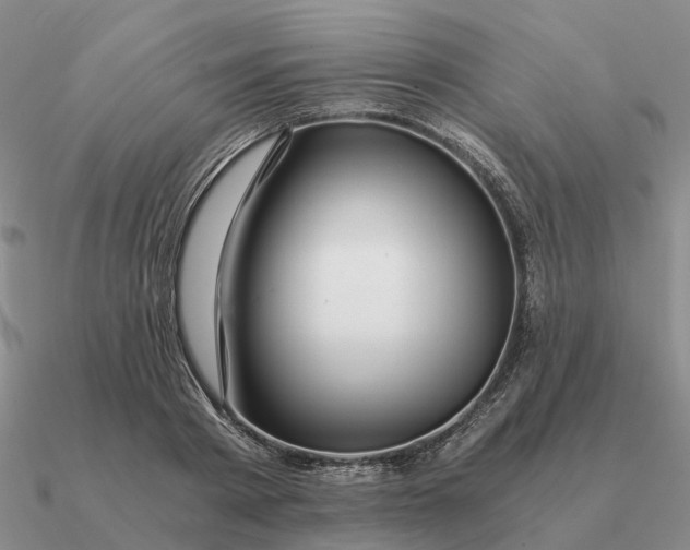 X0000090600793200708071141