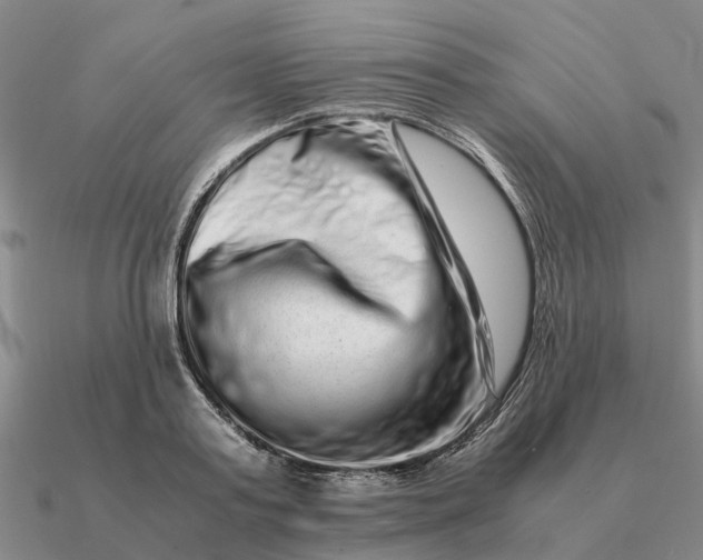 X0000090600795200708071141