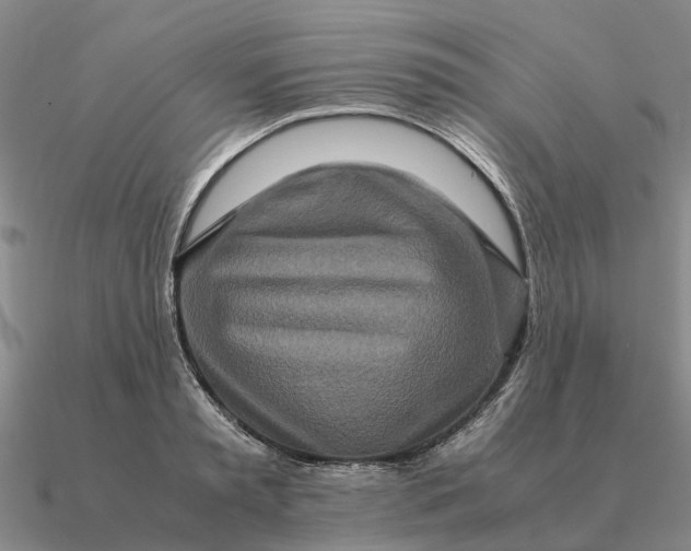 X0000090600797200708071141