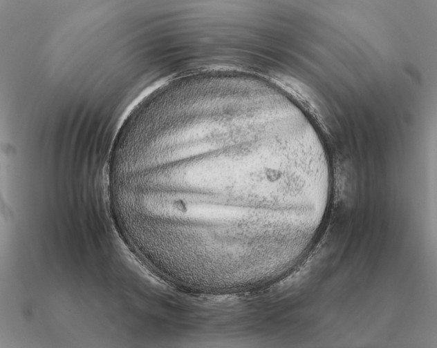 X0000090600798200708071141