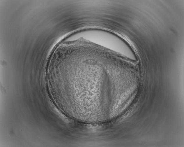 X0000090600799200708071141