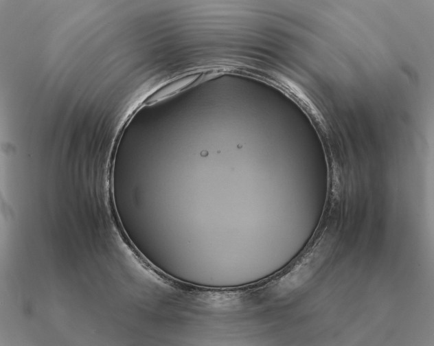 X0000090600802200708071141