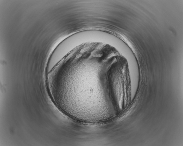 X0000090600803200708071141