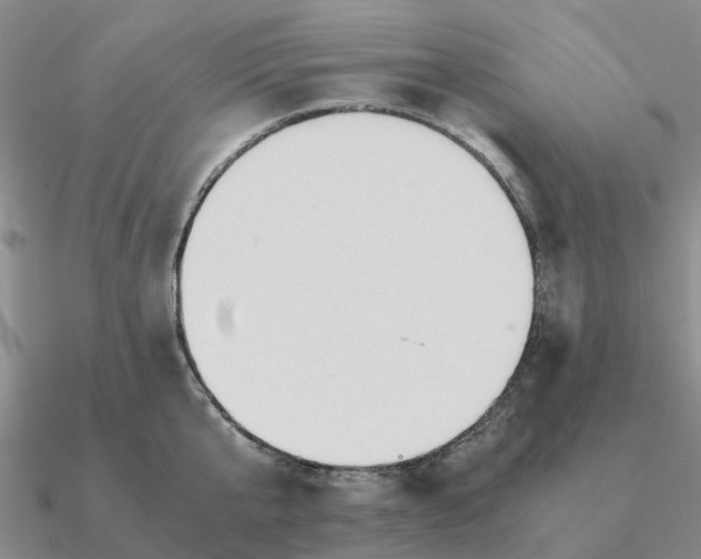 X0000090600807200708071141