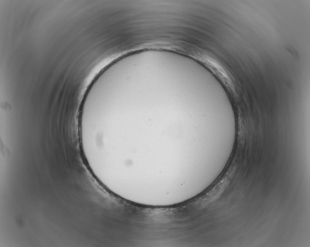 X0000090600808200708071141