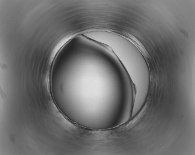 X0000090600812200708071141