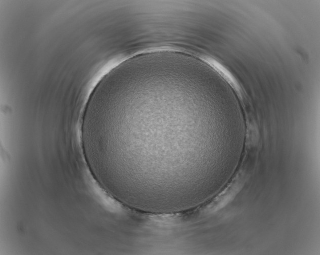 X0000090600813200708071141