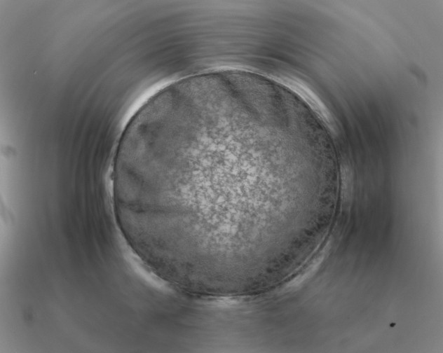 X0000090600814200708071141