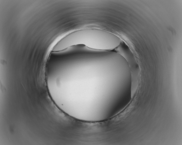 X0000090600816200708071141