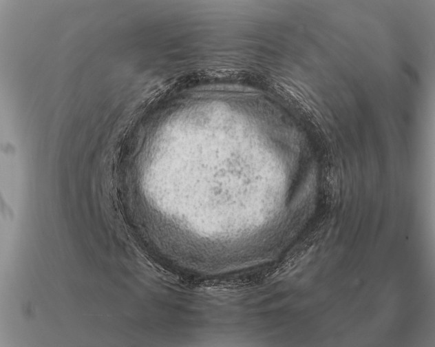 X0000090600817200708071141