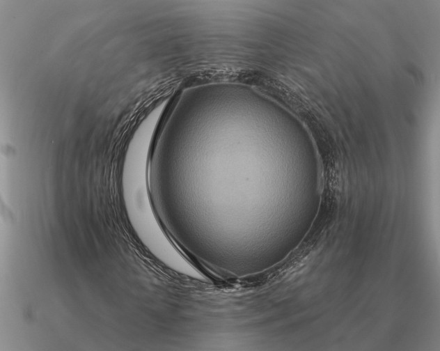 X0000090600818200708071141