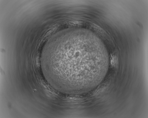 X0000090600819200708071141