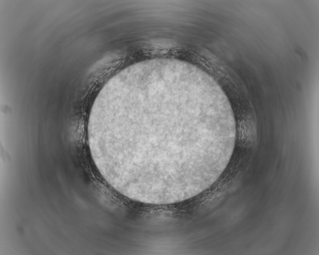 X0000090600820200708071141