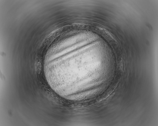 X0000090600821200708071141