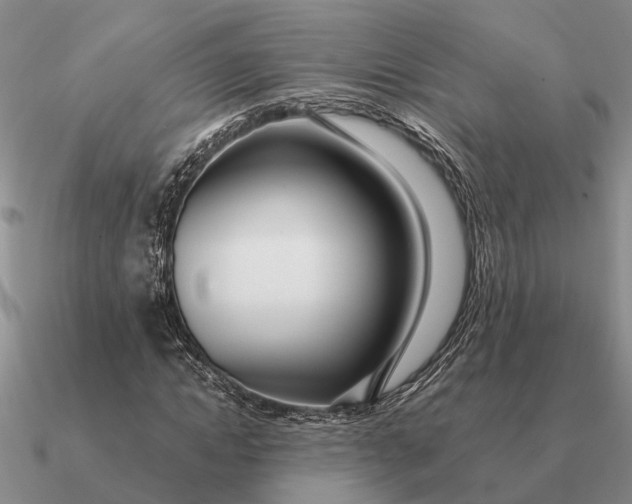 X0000090600822200708071141